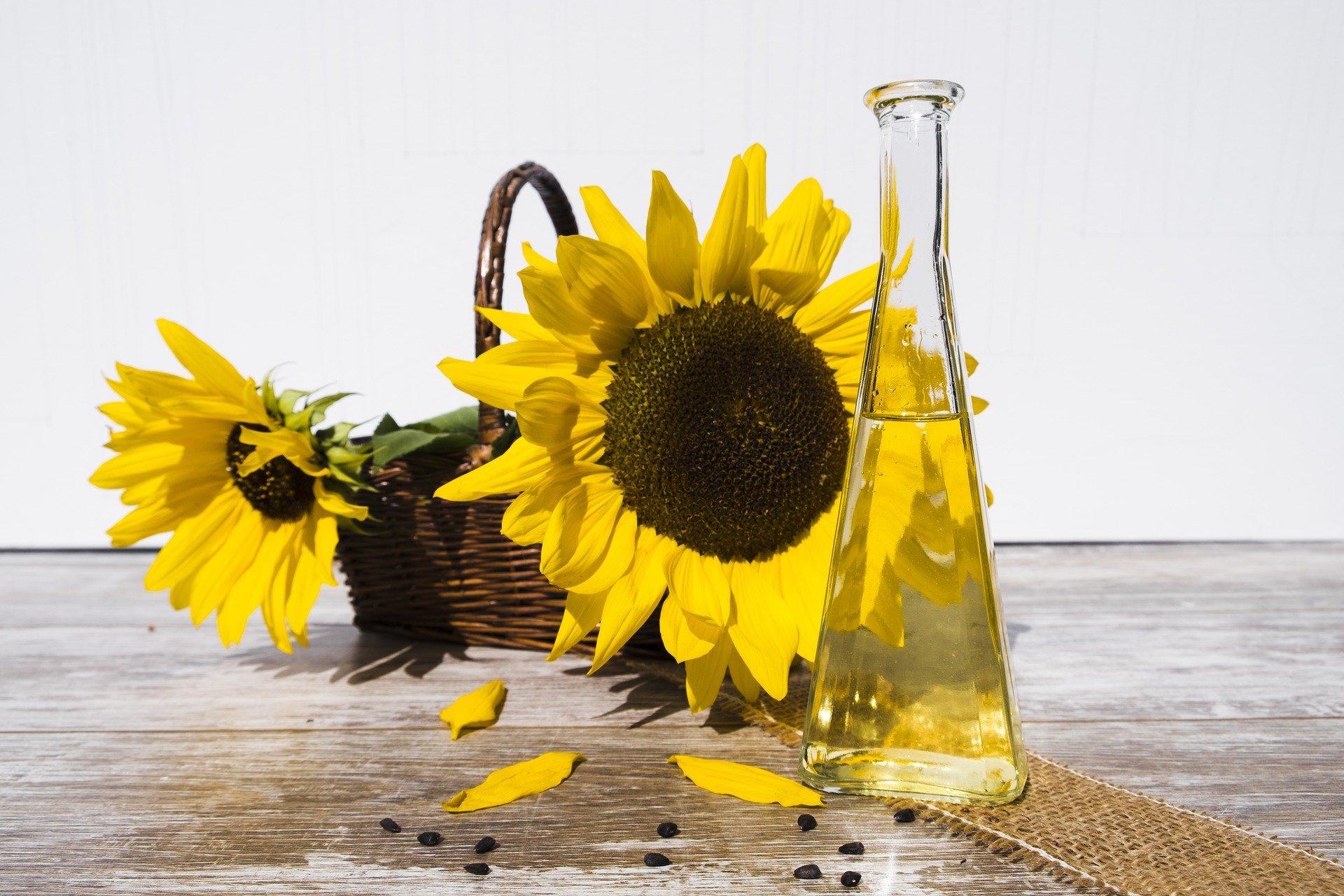 Pixabay – Sunflower Oil