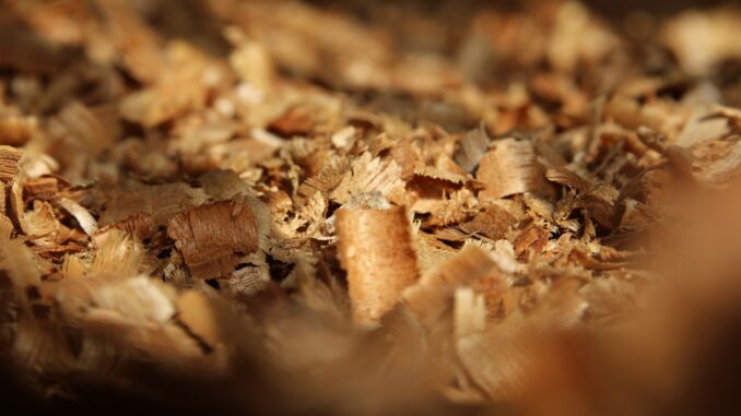 wood-5357188_1920