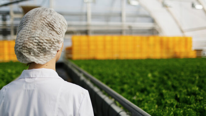 Close-up back biotechnology woman engineer examining a plants for disease from greenhouse